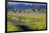 USA, Idaho, Fairfield, Camas Prairie, Creek and fence in the Camas Prairie-Terry Eggers-Framed Photographic Print