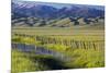 USA, Idaho, Fairfield, Camas Prairie, Creek and fence in the Camas Prairie-Terry Eggers-Mounted Premium Photographic Print