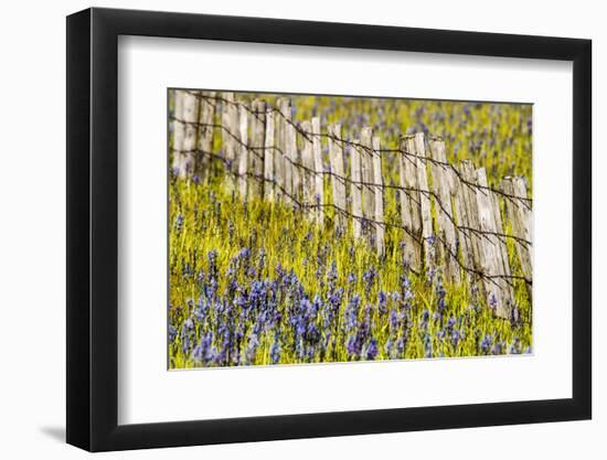 USA, Idaho, Fairfield, Camas Prairie, Creek and fence in the Camas Prairie-Terry Eggers-Framed Photographic Print