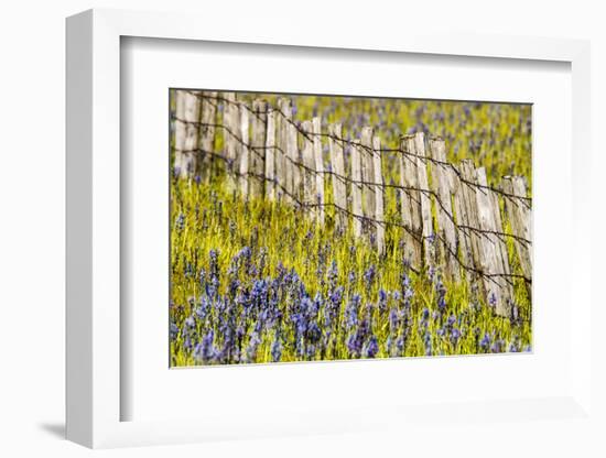 USA, Idaho, Fairfield, Camas Prairie, Creek and fence in the Camas Prairie-Terry Eggers-Framed Photographic Print