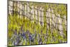 USA, Idaho, Fairfield, Camas Prairie, Creek and fence in the Camas Prairie-Terry Eggers-Mounted Photographic Print