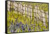 USA, Idaho, Fairfield, Camas Prairie, Creek and fence in the Camas Prairie-Terry Eggers-Framed Stretched Canvas