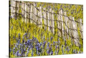 USA, Idaho, Fairfield, Camas Prairie, Creek and fence in the Camas Prairie-Terry Eggers-Stretched Canvas