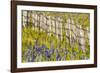 USA, Idaho, Fairfield, Camas Prairie, Creek and fence in the Camas Prairie-Terry Eggers-Framed Photographic Print