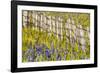 USA, Idaho, Fairfield, Camas Prairie, Creek and fence in the Camas Prairie-Terry Eggers-Framed Photographic Print