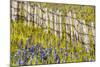 USA, Idaho, Fairfield, Camas Prairie, Creek and fence in the Camas Prairie-Terry Eggers-Mounted Photographic Print