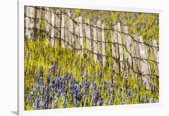 USA, Idaho, Fairfield, Camas Prairie, Creek and fence in the Camas Prairie-Terry Eggers-Framed Photographic Print