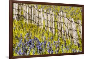 USA, Idaho, Fairfield, Camas Prairie, Creek and fence in the Camas Prairie-Terry Eggers-Framed Photographic Print