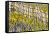 USA, Idaho, Fairfield, Camas Prairie, Creek and fence in the Camas Prairie-Terry Eggers-Framed Stretched Canvas