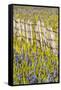 USA, Idaho, Fairfield, Camas Prairie, Creek and fence in the Camas Prairie-Terry Eggers-Framed Stretched Canvas