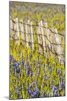 USA, Idaho, Fairfield, Camas Prairie, Creek and fence in the Camas Prairie-Terry Eggers-Mounted Premium Photographic Print