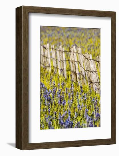 USA, Idaho, Fairfield, Camas Prairie, Creek and fence in the Camas Prairie-Terry Eggers-Framed Photographic Print