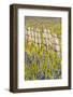 USA, Idaho, Fairfield, Camas Prairie, Creek and fence in the Camas Prairie-Terry Eggers-Framed Photographic Print