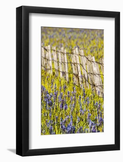 USA, Idaho, Fairfield, Camas Prairie, Creek and fence in the Camas Prairie-Terry Eggers-Framed Photographic Print