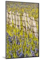 USA, Idaho, Fairfield, Camas Prairie, Creek and fence in the Camas Prairie-Terry Eggers-Mounted Photographic Print