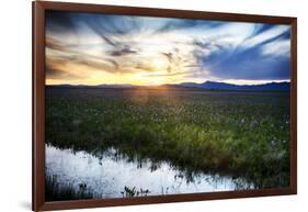 USA, Idaho, Fairfield, Camas Prairie, Sunset in the Camas Prairie-Terry Eggers-Framed Photographic Print