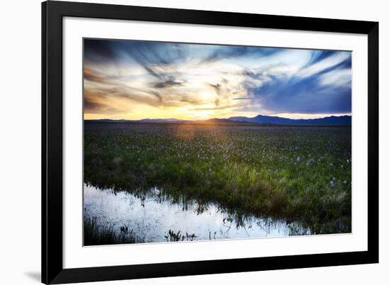 USA, Idaho, Fairfield, Camas Prairie, Sunset in the Camas Prairie-Terry Eggers-Framed Premium Photographic Print