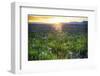 USA, Idaho, Fairfield, Camas Prairie, Sunset in the Camas Prairie-Terry Eggers-Framed Photographic Print