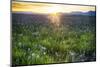USA, Idaho, Fairfield, Camas Prairie, Sunset in the Camas Prairie-Terry Eggers-Mounted Photographic Print