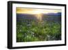 USA, Idaho, Fairfield, Camas Prairie, Sunset in the Camas Prairie-Terry Eggers-Framed Photographic Print