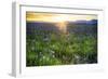 USA, Idaho, Fairfield, Camas Prairie, Sunset in the Camas Prairie-Terry Eggers-Framed Photographic Print