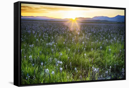 USA, Idaho, Fairfield, Camas Prairie, Sunset in the Camas Prairie-Terry Eggers-Framed Stretched Canvas