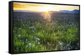 USA, Idaho, Fairfield, Camas Prairie, Sunset in the Camas Prairie-Terry Eggers-Framed Stretched Canvas