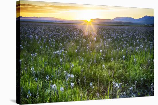 USA, Idaho, Fairfield, Camas Prairie, Sunset in the Camas Prairie-Terry Eggers-Stretched Canvas