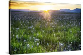 USA, Idaho, Fairfield, Camas Prairie, Sunset in the Camas Prairie-Terry Eggers-Stretched Canvas