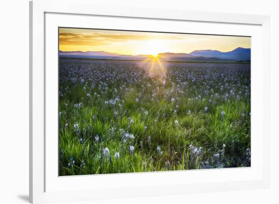 USA, Idaho, Fairfield, Camas Prairie, Sunset in the Camas Prairie-Terry Eggers-Framed Premium Photographic Print