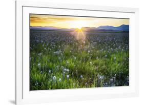 USA, Idaho, Fairfield, Camas Prairie, Sunset in the Camas Prairie-Terry Eggers-Framed Premium Photographic Print