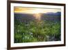 USA, Idaho, Fairfield, Camas Prairie, Sunset in the Camas Prairie-Terry Eggers-Framed Premium Photographic Print