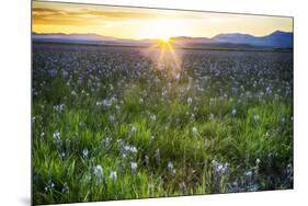 USA, Idaho, Fairfield, Camas Prairie, Sunset in the Camas Prairie-Terry Eggers-Mounted Premium Photographic Print