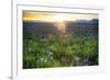 USA, Idaho, Fairfield, Camas Prairie, Sunset in the Camas Prairie-Terry Eggers-Framed Photographic Print