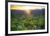 USA, Idaho, Fairfield, Camas Prairie, Sunset in the Camas Prairie-Terry Eggers-Framed Photographic Print