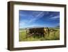 USA, Idaho, Fairfield, Horse Drawn Hay Rake in Field-Terry Eggers-Framed Photographic Print