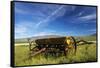 USA, Idaho, Fairfield, Horse Drawn Hay Rake in Field-Terry Eggers-Framed Stretched Canvas