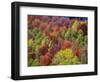 USA, Idaho. Fall colors and aspens along Montpelier Canyon in Idaho in the autumn.-Julie Eggers-Framed Photographic Print