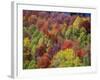 USA, Idaho. Fall colors and aspens along Montpelier Canyon in Idaho in the autumn.-Julie Eggers-Framed Photographic Print