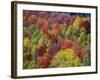 USA, Idaho. Fall colors and aspens along Montpelier Canyon in Idaho in the autumn.-Julie Eggers-Framed Photographic Print