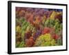 USA, Idaho. Fall colors and aspens along Montpelier Canyon in Idaho in the autumn.-Julie Eggers-Framed Photographic Print