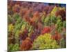 USA, Idaho. Fall colors and aspens along Montpelier Canyon in Idaho in the autumn.-Julie Eggers-Mounted Photographic Print