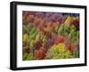 USA, Idaho. Fall colors and aspens along Montpelier Canyon in Idaho in the autumn.-Julie Eggers-Framed Photographic Print