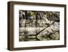 USA, Idaho. Hells Canyon reach of Snake River.-Alison Jones-Framed Photographic Print