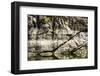 USA, Idaho. Hells Canyon reach of Snake River.-Alison Jones-Framed Photographic Print