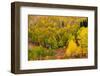 USA, Idaho, Highway 36 west of Liberty and hillsides covered with Aspens in autumn-Sylvia Gulin-Framed Photographic Print