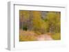 USA, Idaho, Highway 36 west of Liberty dirt road and Aspens in autumn-Sylvia Gulin-Framed Photographic Print