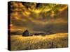 USA, Idaho, Liberty, Infrared of old cabin near Liberty-Terry Eggers-Stretched Canvas