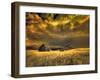 USA, Idaho, Liberty, Infrared of old cabin near Liberty-Terry Eggers-Framed Photographic Print