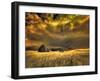 USA, Idaho, Liberty, Infrared of old cabin near Liberty-Terry Eggers-Framed Photographic Print